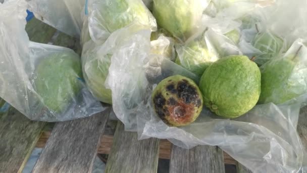 Paquet Fruits Goyave Rouges Crus Frais Dans Emballage — Video