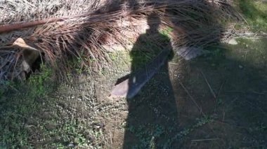 Tanımlanamayan kişinin gölgesi kırsal yolda gündüz yürüyor.