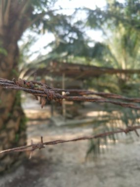 old rusty wasting barb-wired on the concrete pole