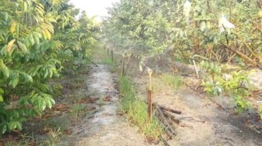 Tarım sulama için dönen su fıskiyesi.