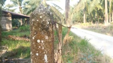 old rusty wasting barb-wired on the concrete pole