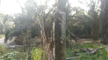 old rusty wasting barb-wired on the concrete pole