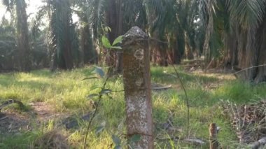 old rusty wasting barb-wired on the concrete pole