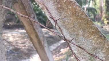 old rusty wasting barb-wired on the concrete pole