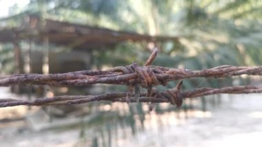 old rusty wasting barb-wired on the concrete pole