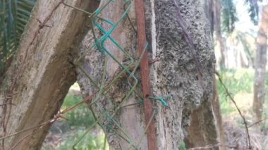 old rusty wasting barb-wired on the concrete pole