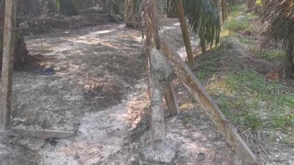 Old Rusty Wasting Barb Wired Concrete Pole — Vídeo de Stock