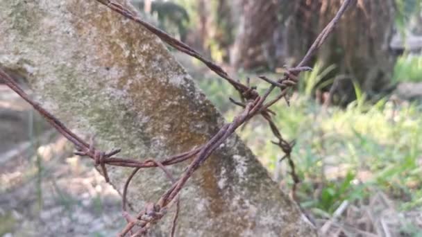 Old Rusty Wasting Barb Wired Concrete Pole – stockvideo