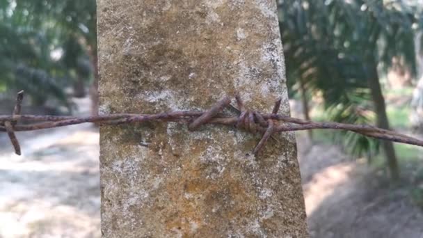 Old Rusty Wasting Barb Wired Concrete Pole — Vídeo de Stock