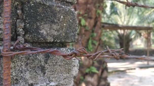 Old Rusty Wasting Barb Wired Concrete Pole — Stok video