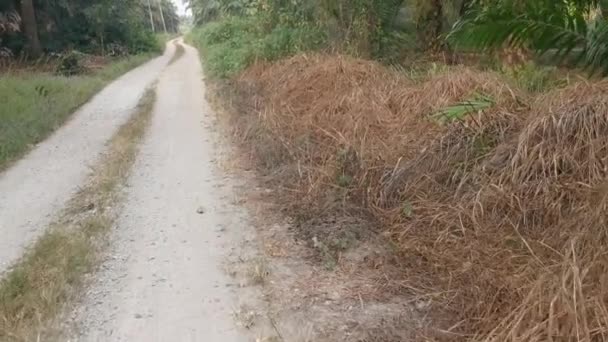 Mrtvé Sušené Travní Pole Buď Důsledku Pesticidů Nebo Sucha — Stock video