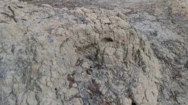 Termit tepesinin yuvası