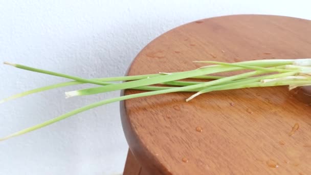 Fresh Red Spring Onions — Stock Video