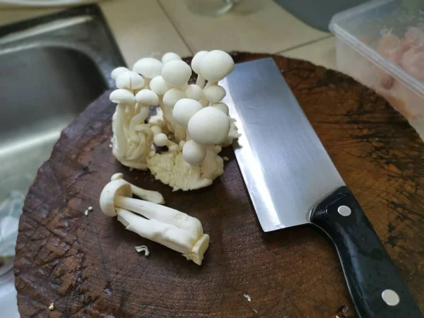 Japanese white ivory beech mushroom