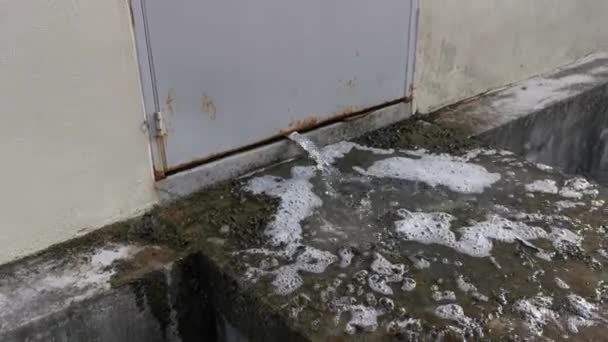 洗濯機の出口ホースから流れ出す汚れた水 — ストック動画