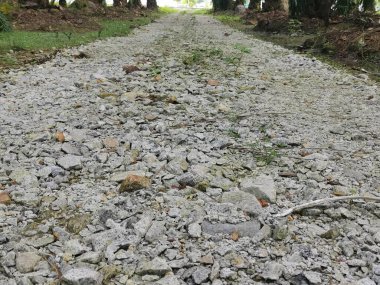 Çiftlikteki pis çakıl yolu..