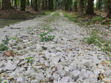 Çiftlikteki pis çakıl yolu..