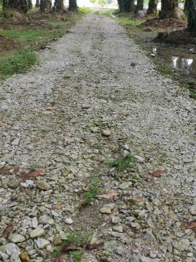 Çiftlikteki pis çakıl yolu..