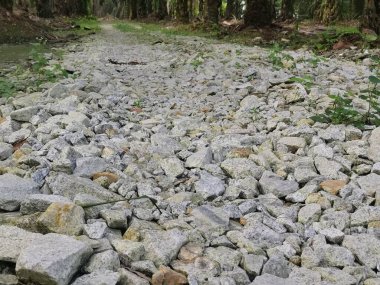 Çiftlikteki pis çakıl yolu..