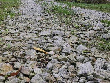 Çiftlikteki pis çakıl yolu..