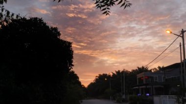 Ağaç dallarının yaprakları sabahın erken saatlerinde gökyüzünün arka planına karşı.