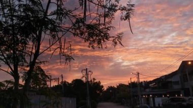 Ağaç dallarının yaprakları sabahın erken saatlerinde gökyüzünün arka planına karşı.