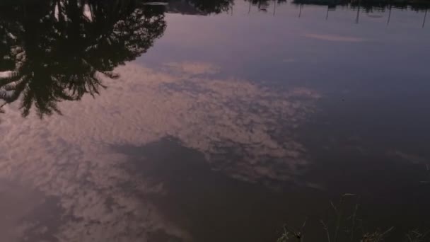 Νωρίς Πρωί Ουρανός Αντανάκλαση Στην Επιφάνεια Της Λίμνης — Αρχείο Βίντεο