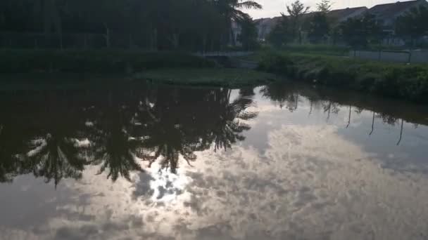 Early Morning Sky Reflection Pond Surface — Stock Video