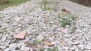 Çiftlikteki pis çakıl yolu..