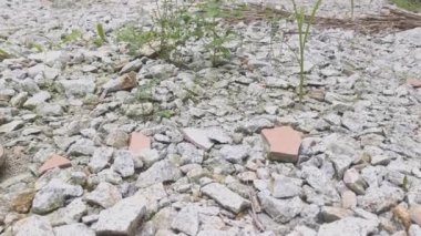 Çiftlikteki pis çakıl yolu..