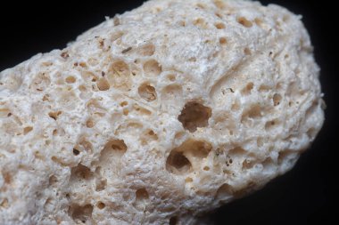 Kurumuş mercan iskeletinin yakın çekim görüntüsü..