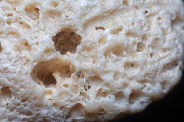 Kurumuş mercan iskeletinin yakın çekim görüntüsü..