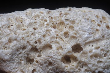 Kurumuş mercan iskeletinin yakın çekim görüntüsü..