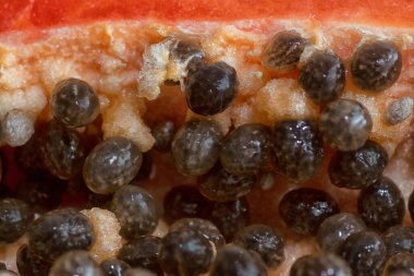 Taze Papaya meyvesinin yarısı..