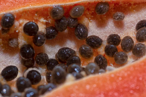 Demi Section Des Fruits Frais Mûrs Papaye — Photo