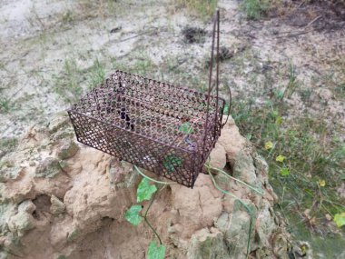 Höyük tepesinde istenmeyen ve paslı fare ya da fare kapanı kafesi bulundu.