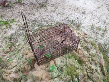 Höyük tepesinde istenmeyen ve paslı fare ya da fare kapanı kafesi bulundu.