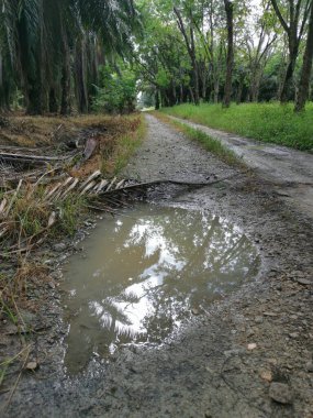 Yoğun sağanaktan sonra kırsal yolda su birikintisi bulundu..
