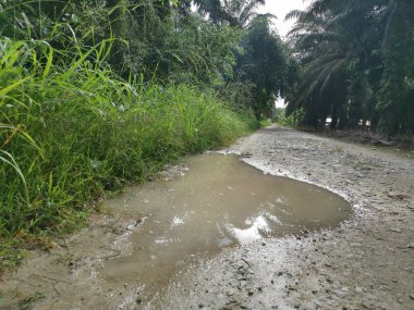 Yoğun sağanaktan sonra kırsal yolda su birikintisi bulundu..