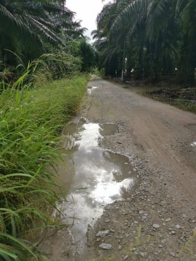Yoğun sağanaktan sonra kırsal yolda su birikintisi bulundu..