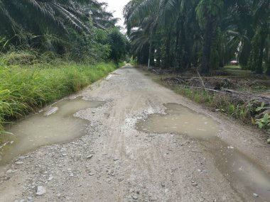 Yoğun sağanaktan sonra kırsal yolda su birikintisi bulundu..