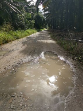 Yoğun sağanaktan sonra kırsal yolda su birikintisi bulundu..
