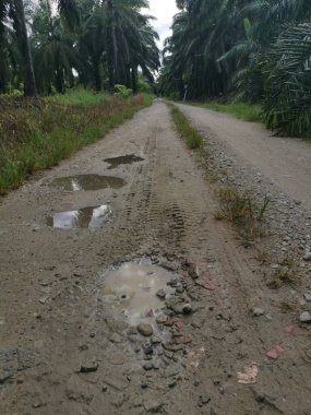 Yoğun sağanaktan sonra kırsal yolda su birikintisi bulundu..