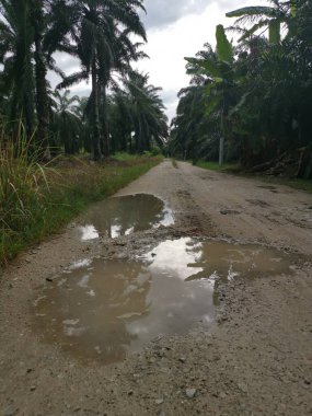 Yoğun sağanaktan sonra kırsal yolda su birikintisi bulundu..