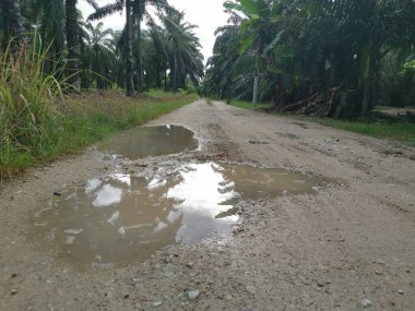 Yoğun sağanaktan sonra kırsal yolda su birikintisi bulundu..