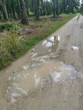 Yoğun sağanaktan sonra kırsal yolda su birikintisi bulundu..