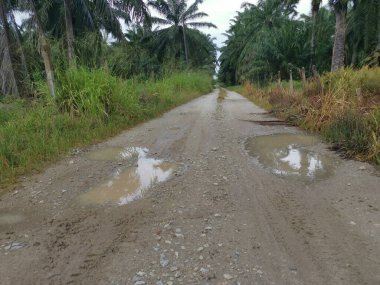 Yoğun sağanaktan sonra kırsal yolda su birikintisi bulundu..