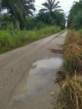 Yoğun sağanaktan sonra kırsal yolda su birikintisi bulundu..