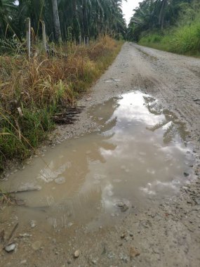 Yoğun sağanaktan sonra kırsal yolda su birikintisi bulundu..