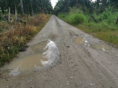 Yoğun sağanaktan sonra kırsal yolda su birikintisi bulundu..